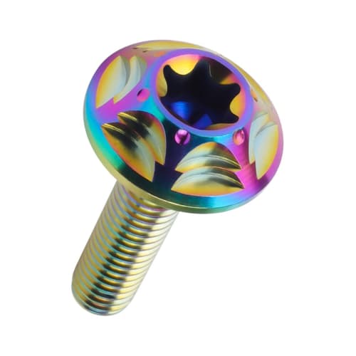 M6 X 25mm P1.0 Titanium Button Head Bolt with Flange, Custom Design, Snow Head, Torx Hole, Rainbow