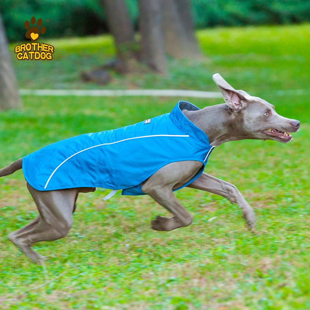 Clearance Windproof & Waterproof Large Dog Sporty Jacket - Warm, Cold-Proof Pet Clothing