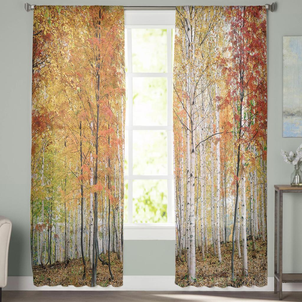 Autumn Birch Tree Window Treatment Tulle Modern Sheer Curtains for Kitchen Living Room the Bedroom Curtains Decoration