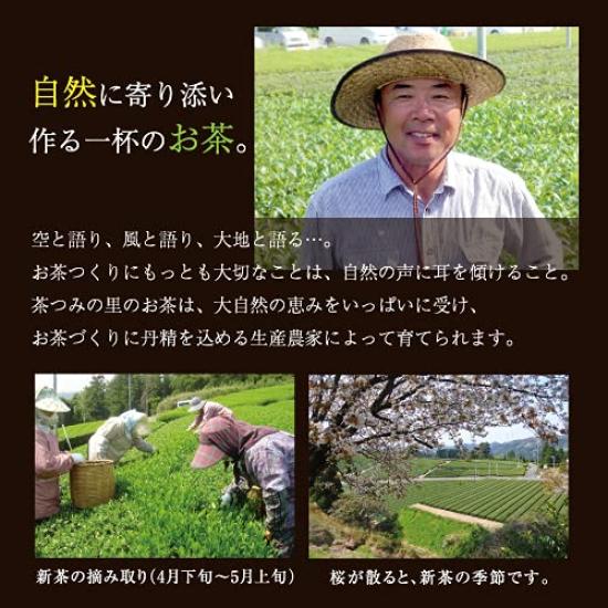 Umisaryo Matcha Grüntee Teebeutel, 2,5g x 100 Teebeutel, Präfektur Shizuoka