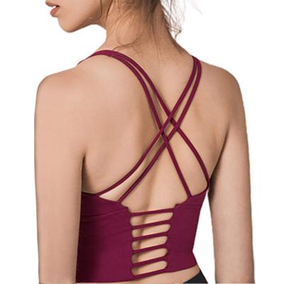 VeroMan Yoga Bra Top with Camisole Sports Size L Cups, Bra, Wireless, Ppi-sportsbra, Bordeaux,