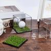 Transparent Holder Stand Golf Ball Lawn Design Golf Ball Acrylic Box  Golf Supplies