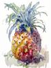 Blueberry Grapes Peaches Pomegranate Watercolor Fruit Poster Canvas Painting Modern Nature Wall Art Picture Home Decor Gift