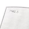 TRESPASS PM2.5 Face Mask Filters (Pack of 3)