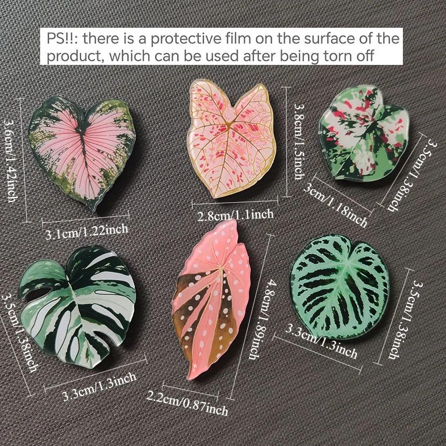 6pcs Begonia Monstera Magnetic Refrigerator Magnets, Kawaii Tropical Plants Refrigerator Magnets, Whiteboard Magnets