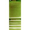 Daniel Smith Daniel Smith Watercolor Paint 15ml Tube (Green Apatite Genuine) 284600197