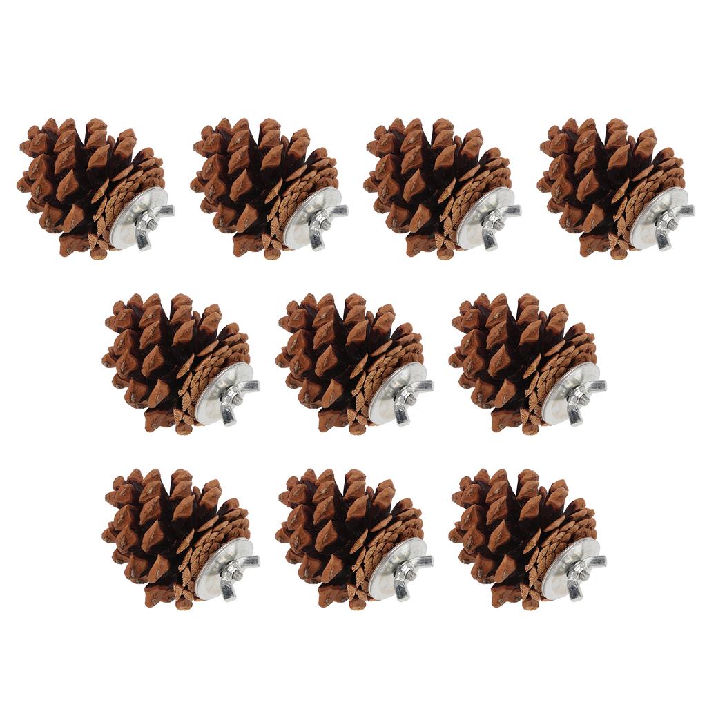 10pcs Bird Bite Pine Cones Natural Pine Cone Chewing Bird Toy for Parakeet Cockatiel Conure Finch Budgie Macaw