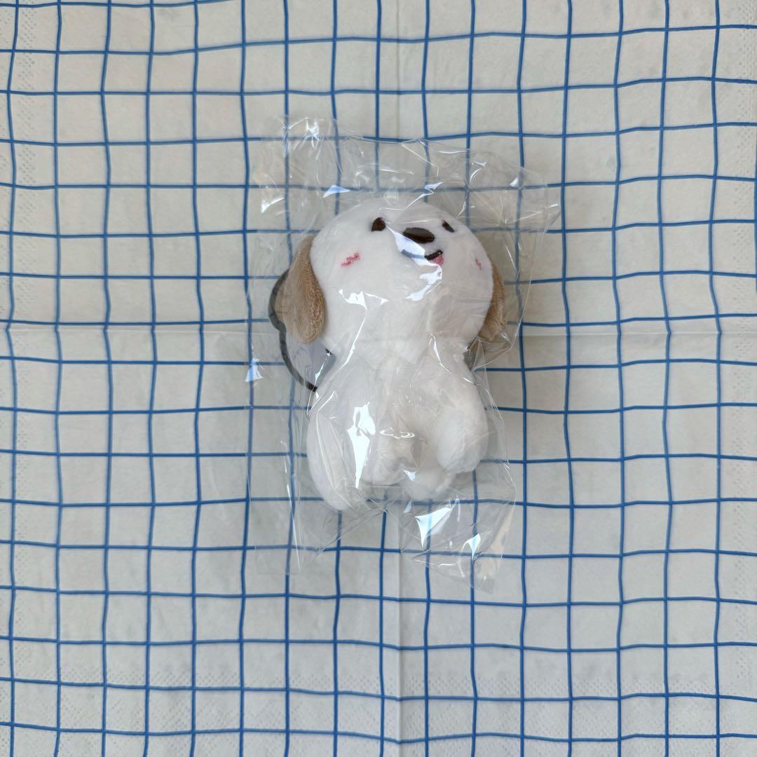 

[USED] RIIZE VALENTINE MD 10cm Doll Mongryongyi Anton