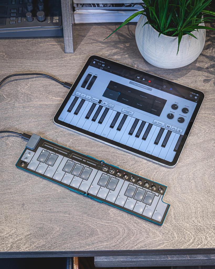 Buy KORG MIDI Keyboard nanoKEY Fold 25 Included Alpine Green AG