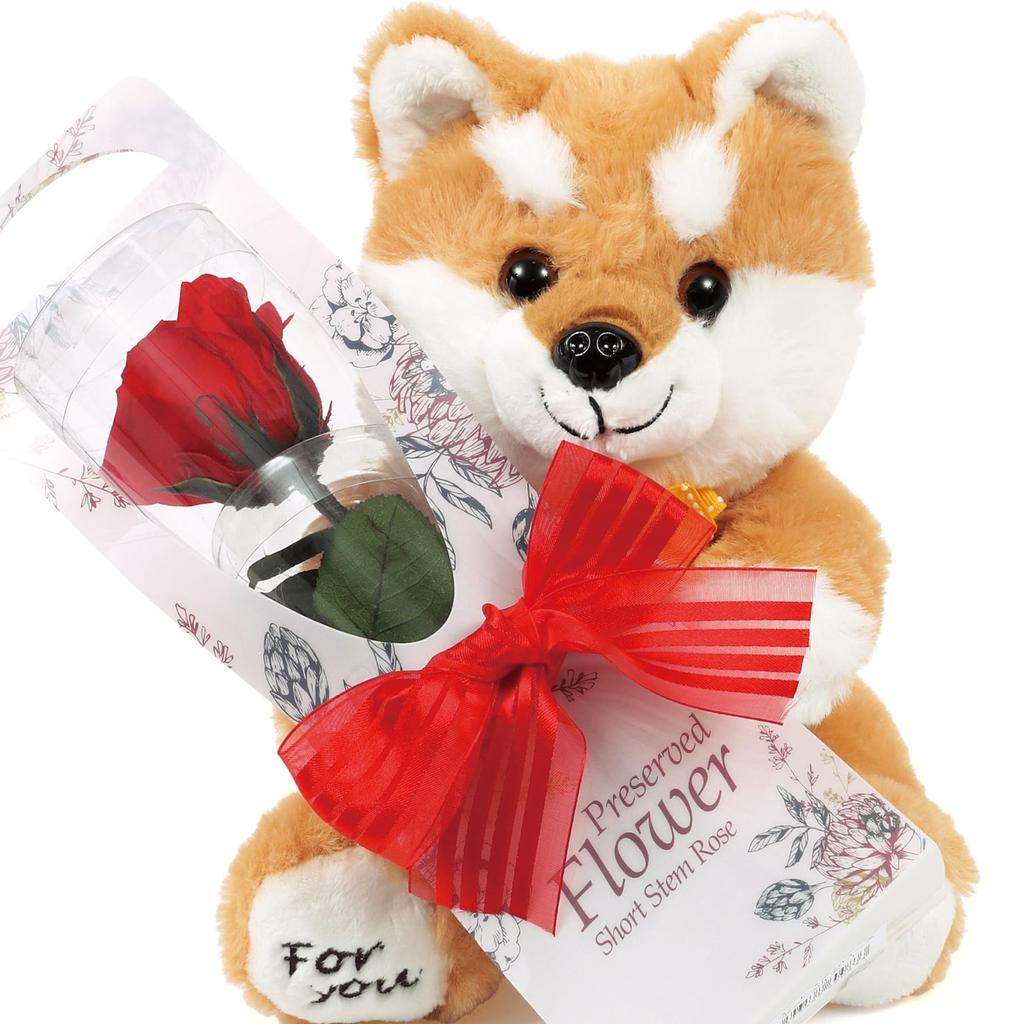 liLYS Preserved Flower 2025 Shiba Inu Plush Toy with Single Perfect Gift for and Birthdays Épice Rose, Celebrations, Anniversaries, (Rouge Velvet)