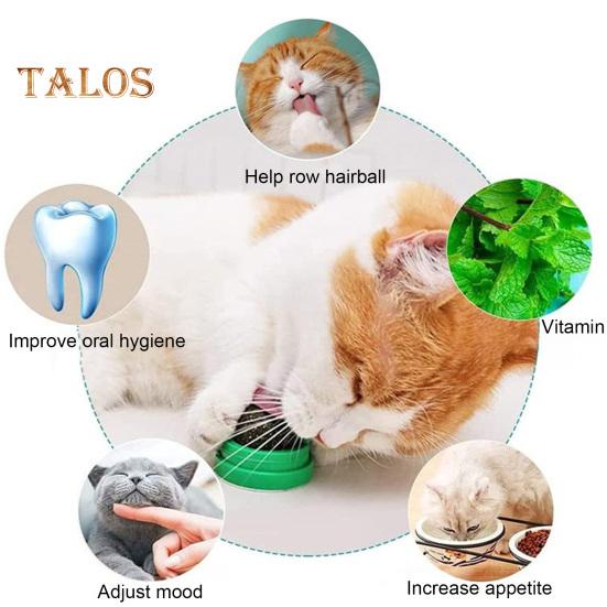 4Pcs Catnip Licking Balls Rotatable Wall Cat Edible Ball Toy with Natural Catnip Silvervine Safe Healthy Kitten Teeth Cleaning Dental Toy for Indoor