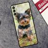 Yorkshire Terrier Dog Puppy Case For Samsung Galaxy S25 Ultra S20 S21 S22 S23 S9 S10 Plus S25 FE S24 Ultra Cover Coque
