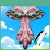 Traditional Phoenix Triangle Kite With Fiberglass Frame For Kids And Adults