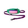 Cães – Colares e correias para cães
