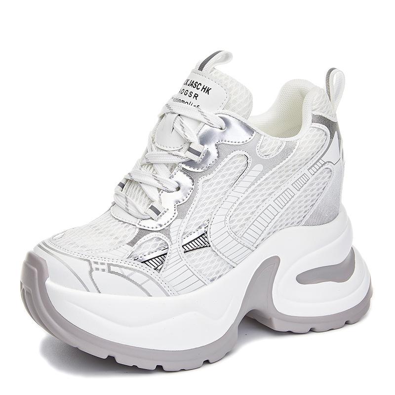 Inner Height Increase 1 New Breathable Dad Shoes Thick-soled Mesh Small Sports and Leisure Shoes A1
