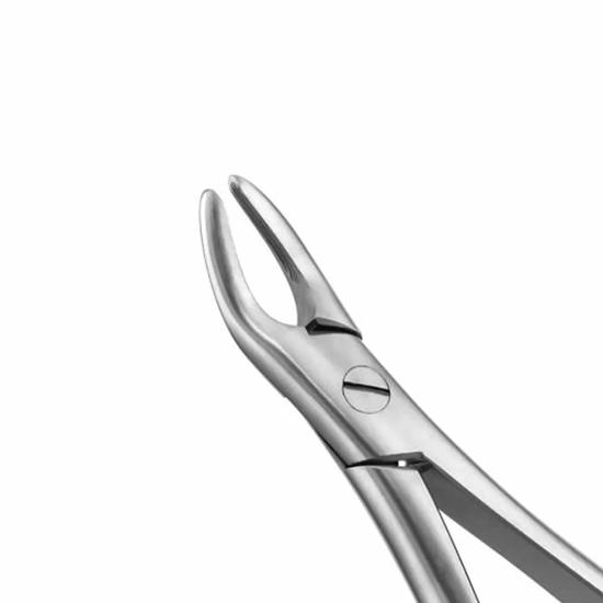 GDC Extraction Forceps Upper Roots - 76N Standard (FX76NS)