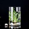 Zylindervase Blumenvase Transparent Glasvase Hydrokultur Pflanzvase Nordische Blumenvase Heim Wohnzimmer Tischdekoration Geschenk