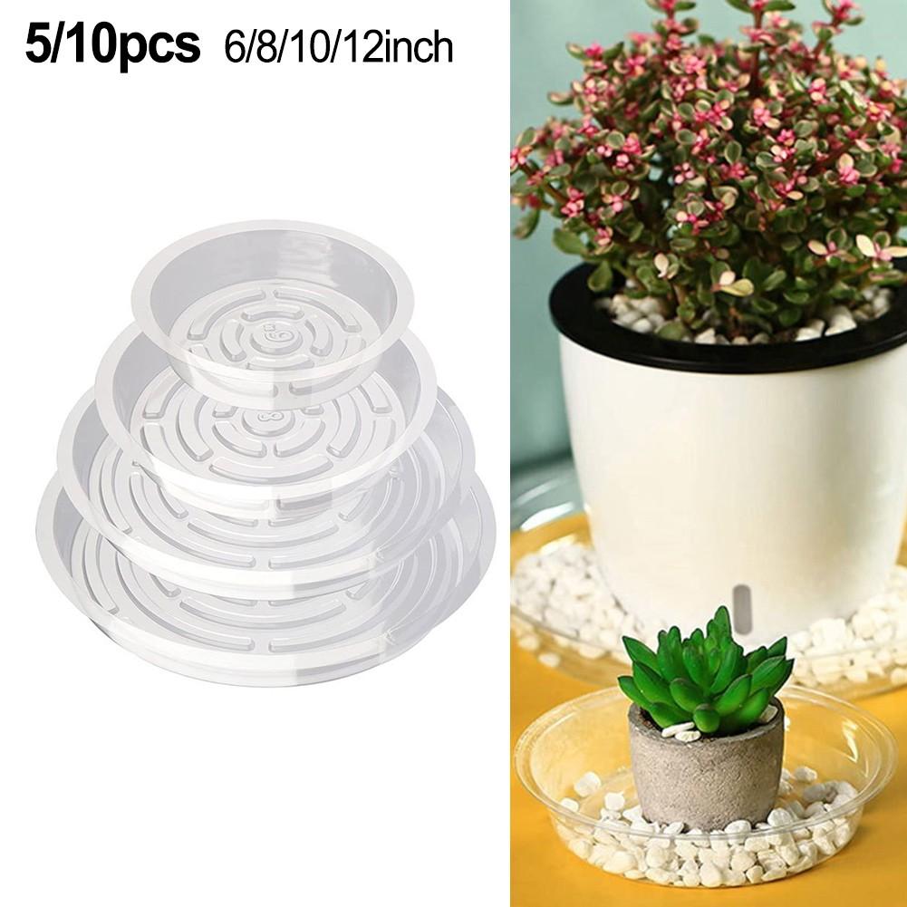 Plant Saucers 10 Inches 12 Inches 6 Inches 8 Inches
