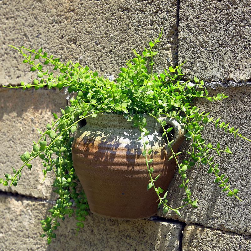 Ge Kiln Style Ceramic Wall Planter