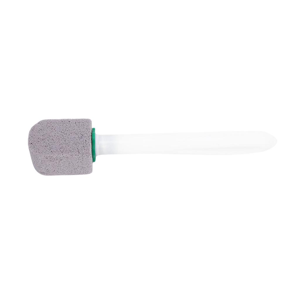 10Pcs Pumice Stone Cleaning Brush Multifunctional Bathroom Toilet Bowl Cleaner Brush with Long Handle for Sink Tile Bathtub Swimming Pool Grey