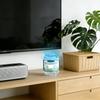 Indoor Purification Removal Box,Plant-Based Multi-Functional Freshener For Bedrooms, Closets & Pet Areas –  Easy Placement & Long-Lasting Freshness