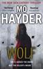 Wolf by Mo Hayder Paperback Book 9780857500786