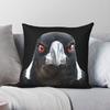 Australian Magpie Watching You Square Pillowcase Polyester Linen Velvet Pattern Zip Decor Pillow Case Sofa Cushion Cover