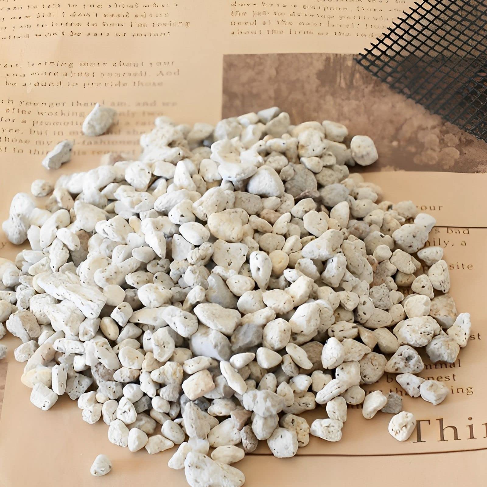 

Leap Гусеница дно горшка сетчатая деталь дно горшка маленький 2 л [10 лет использования (1 включено)] Пемза, комнатное растение, агава, камень, зерно, белый