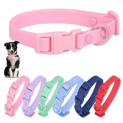 Köpek – Köpek Tasmaları ve Tasma Kayışları