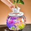 Plastic Turtle Aquarium Transparent Turtle Terrarium Small Clear Fish Tank  Aquarium Setup