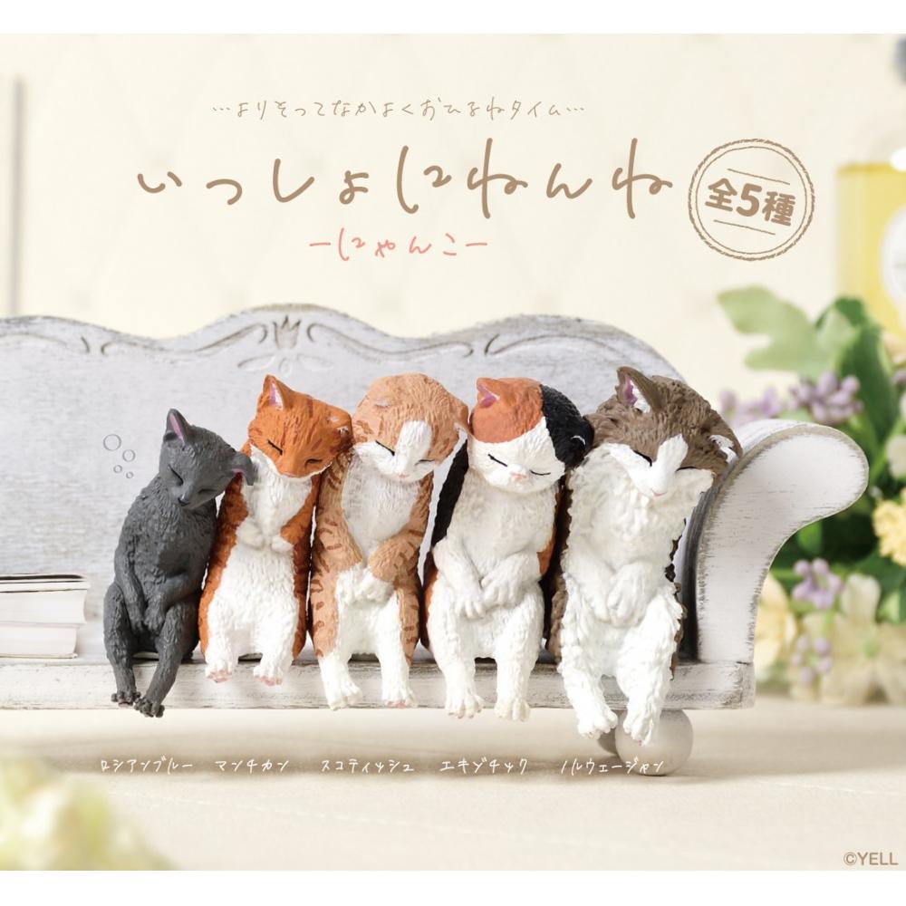 

Null Sleep Together Cat 1box 10pcs