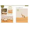 Animal Photo Book Horns and Antlers Comparison Ikimono Shashinkan 3 Japanese Picture Book