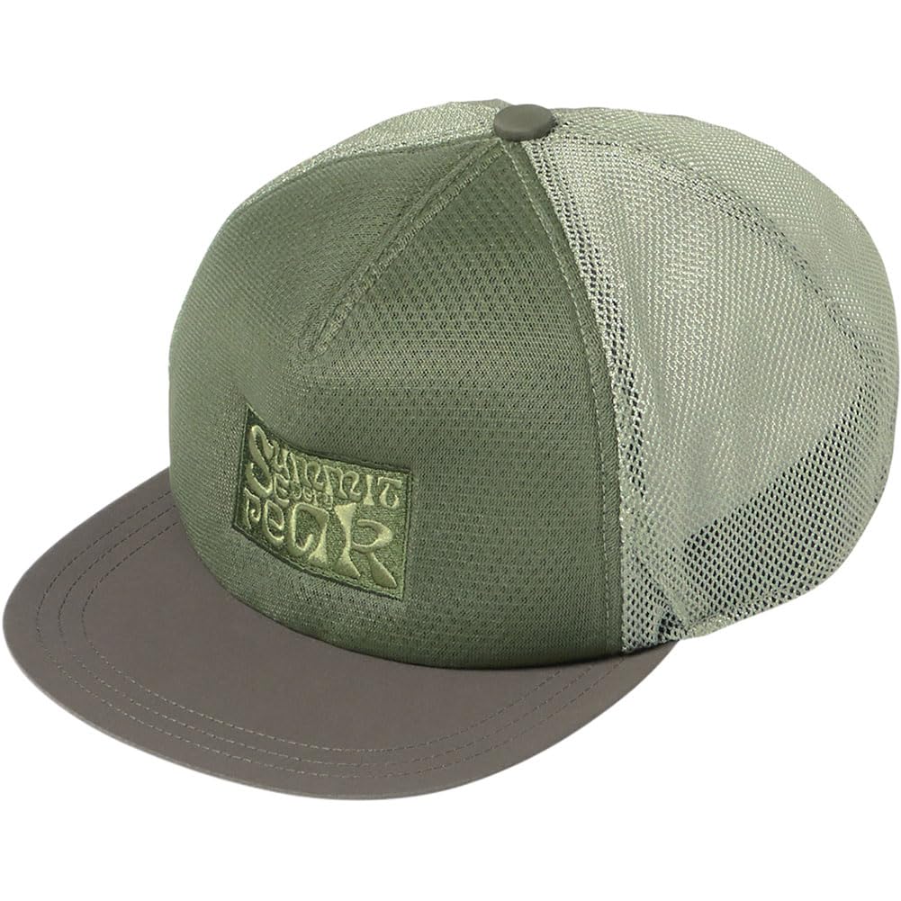 The North Face All Mesh Graphics New Taupe Large Cap, 2,