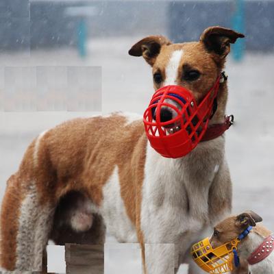 Náhubek pro domácího mazlíčka Prodyšné košíkové náhubky Velcí psi přestanou kousat štěkání žvýkání Potřeby Greyhound Gree Whippet Dogs