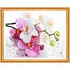 5D DIY Diamond Embroidery Pink Orchid Diamond Painting Cross Stitch Full Drill Rhinestone Home Decor