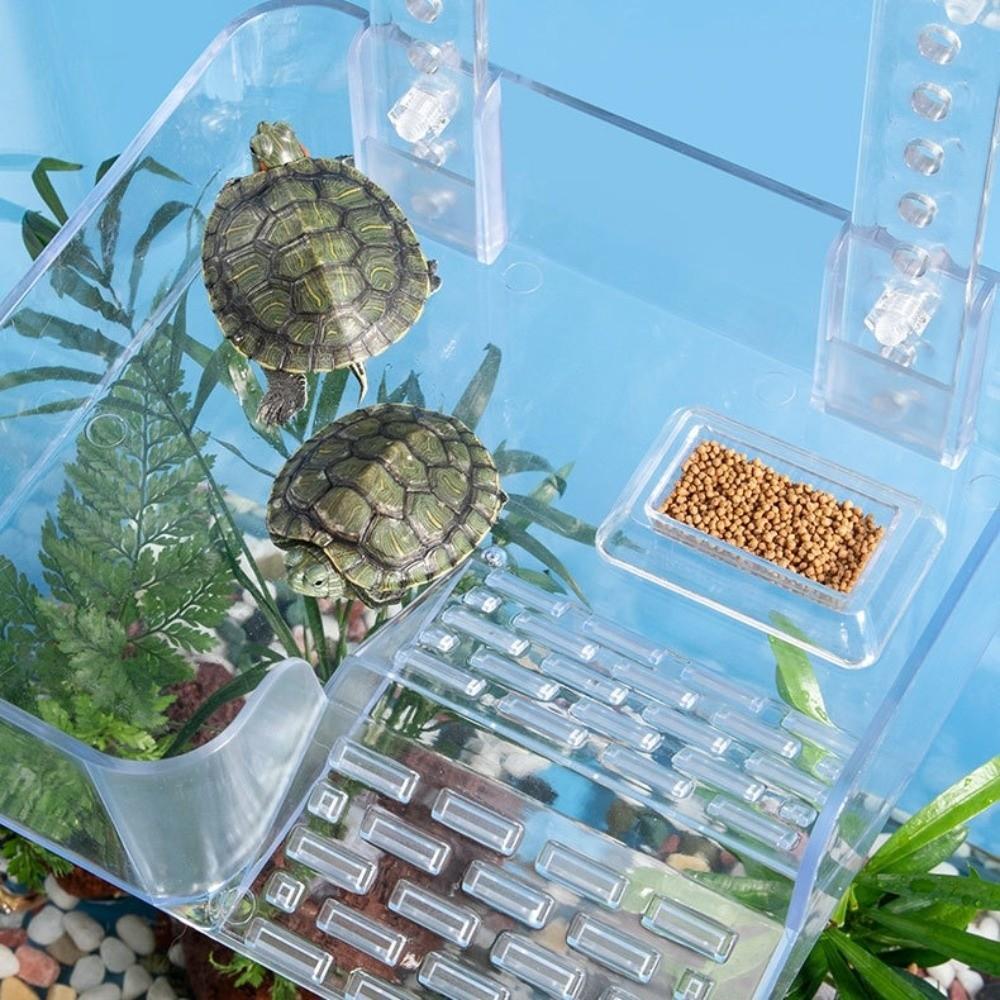 Transparent Tortoise Climbing Basking Platform Aquatic Turtles Terrace
