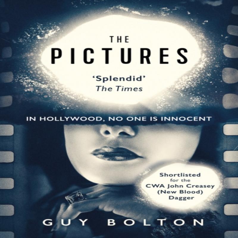 The Pictures by Guy Bolton Paperback Book 9781786072450