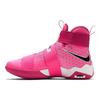 LeBron Soldier 10