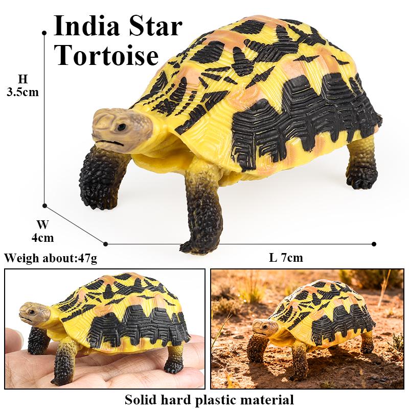 Oenux Reptile Animals Star Turtle Tortoise Geochelone Model Figurines Action Figures PVC Ornament Education Kid Toy Gift