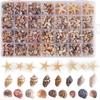 Mixed Spiral Sea Shell Beads 200/400/1000Pcs Natural Assorted Craft Beads for DIY Jewelry Making Fish Tank Decor