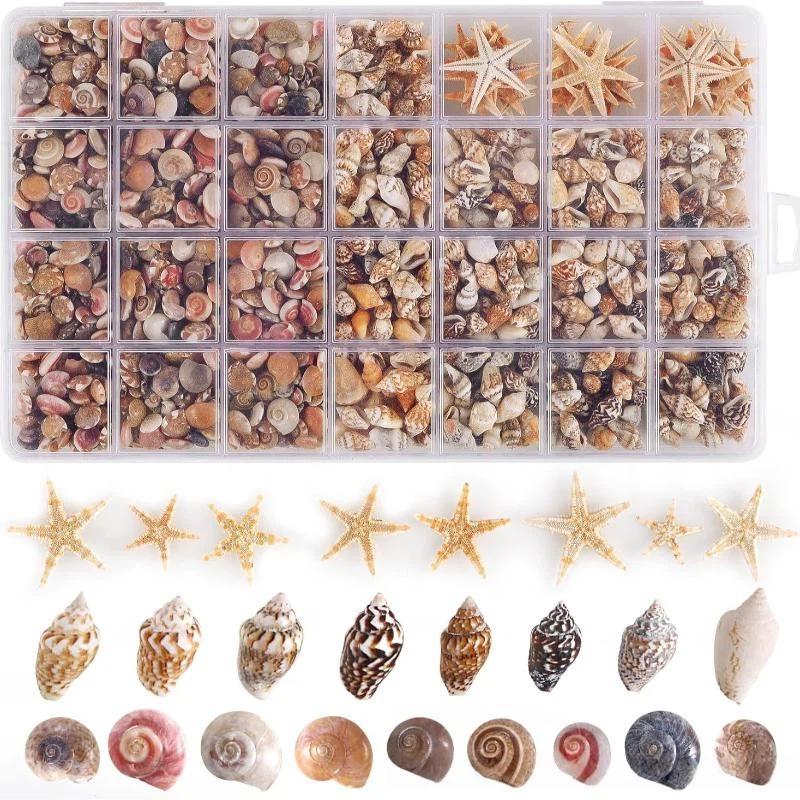 Mixed Spiral Sea Shell Beads 200/400/1000Pcs Natural Assorted Craft Beads for DIY Jewelry Making Fish Tank Decor