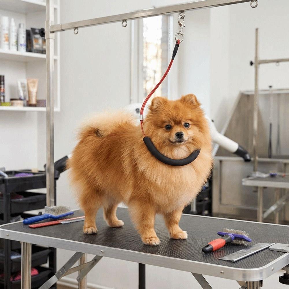 Adjustable Dog Restraint Rope Soft Foam Padded Pet Bathing Fixed Leash Pet Nail Clipping