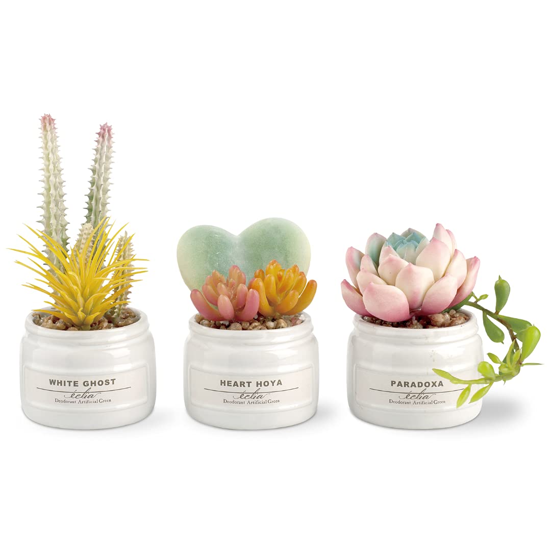 

Kishima Ekuria Deodorizing Artificial Green Green Size Approx. W18.5 D7 H13 KH-61188