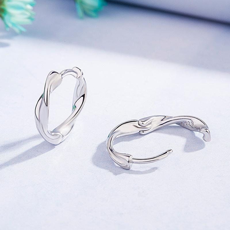 New 925 Sterling Silver Earrings AAA Zircon For Women Exquisite Student Girlfriend Jewelry Accessories Wedding Fashion Gift