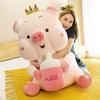 Large Cartoon Pig Baby Bottle Rag Doll Plush Pillow