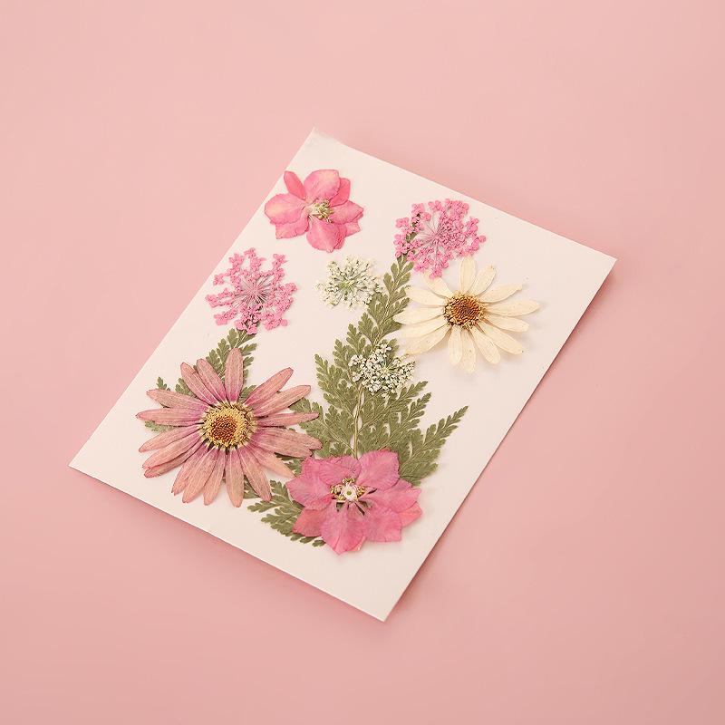 Handmade Pressed Flower Bookmark DIY Kit: Real Dried Flowers, Creative Craft, Unique Plant Specimen, Perfect Small Gift