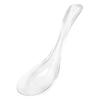 Exquisite Crystal Glass Spoon Transparent Dessert Teaspoons Serving Spoons  Restaurant