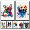 Cute Graffiti Pet Dogs Poster Prints Golden Retriever Border Collie French Bulldog Wall Art Canvas Painting Home Room
