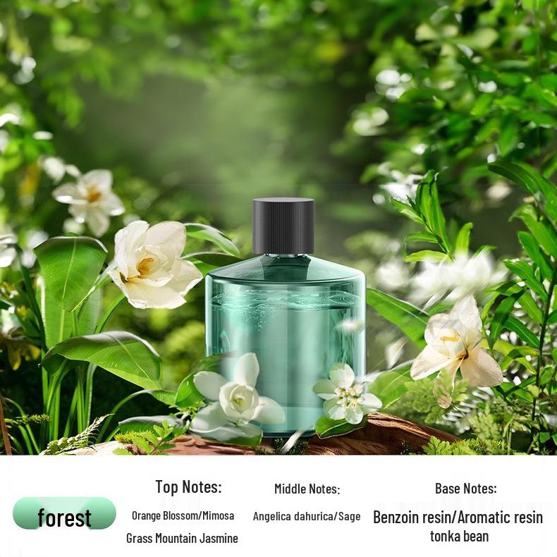 

Автомобильный освежитель и очиститель воздуха: Удаление запаха, Стерилизация, Дезодорация