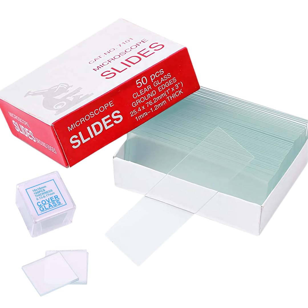 

so Set of and cover slips for science and microorganisms and cells slides and 100 cover I m happy! slides, preparations, microscopes, specimens,